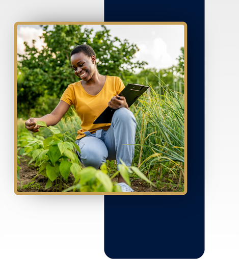 Valoriser les richesses agricoles africaines